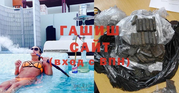 индика Инта